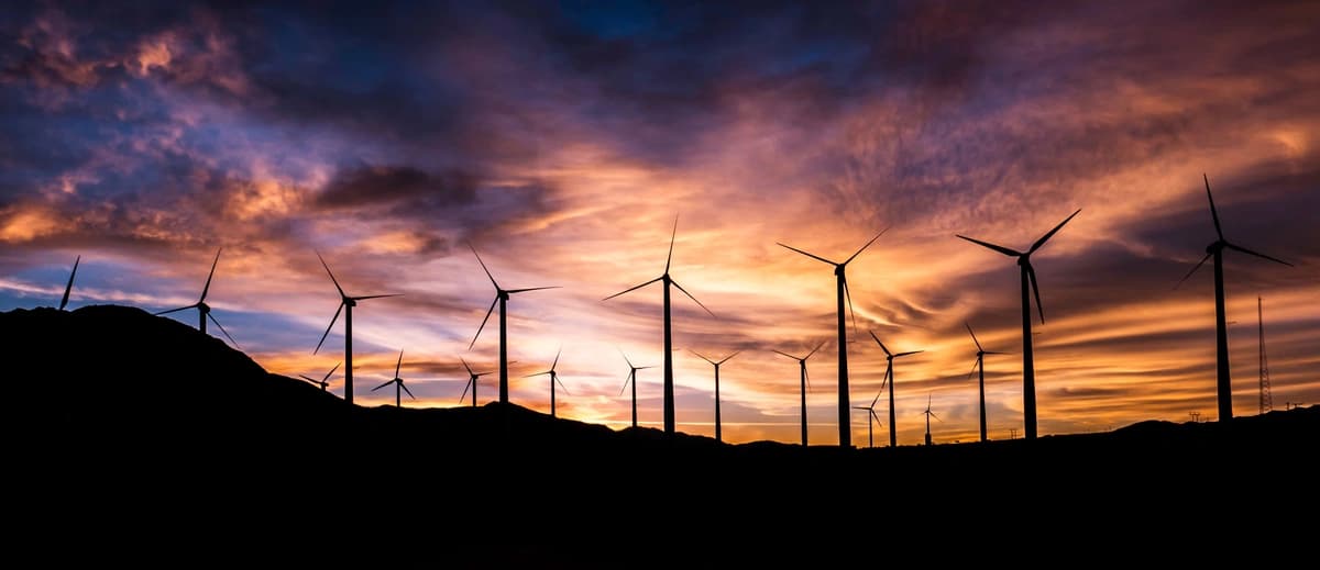 Analyzing the U.S. Electric Vehicle Market