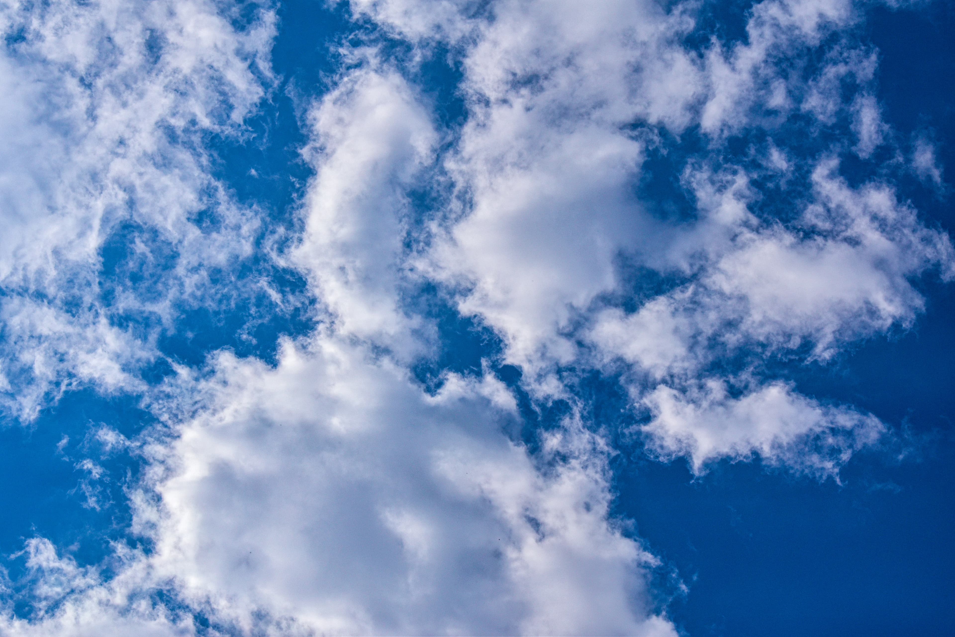 Do Electric Vehicles Really Contribute to Clean Air?