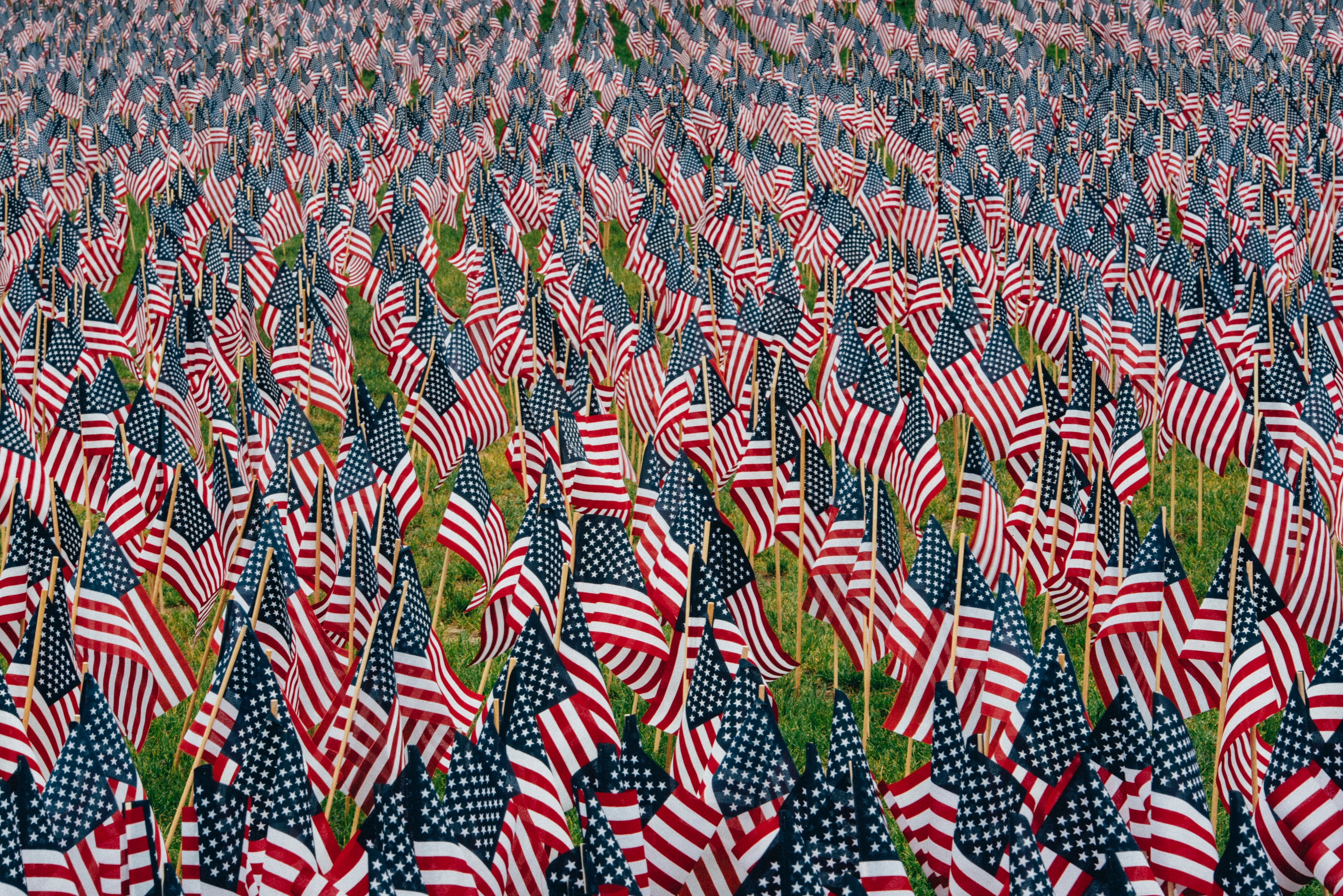 American glads in honor of memorial day